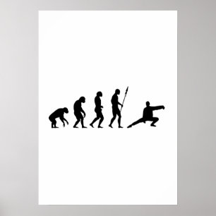 Poster évolution tai chi