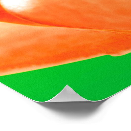 Poster Évolution vers la non-violence. Deviens Vegan. (Coin)