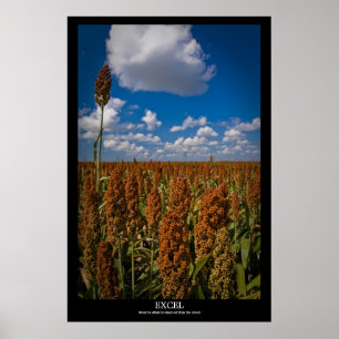 Poster Excel