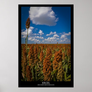 Poster Excel