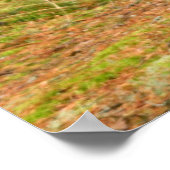 Poster Excellence (Coin)