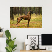 Poster Excellence (Bureau à domicile)