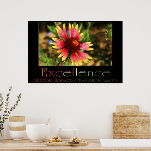 Poster Excellence (Cuisine)