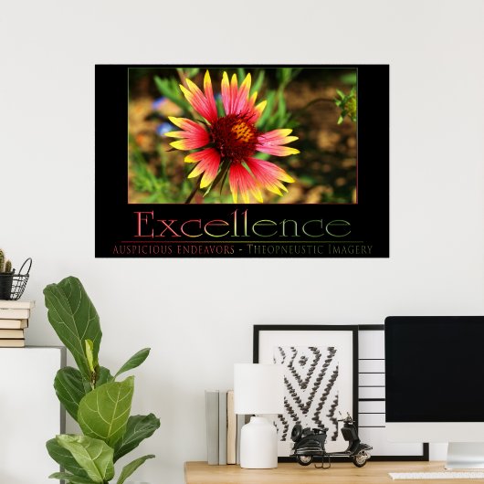 Poster Excellence (Bureau à domicile)