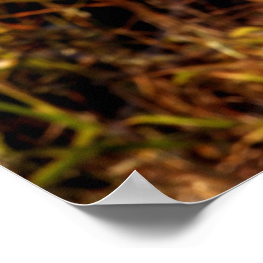 Poster Exceptionnel dans son domaine (Coin)