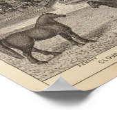Poster Exchange Banque nationale des Downs, Kansas (Coin)