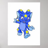 Poster Excité Starry Acara (Devant)