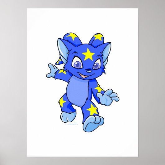 Poster Excité Starry Acara (Devant)