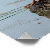 Poster Excusez-moi (Coin)