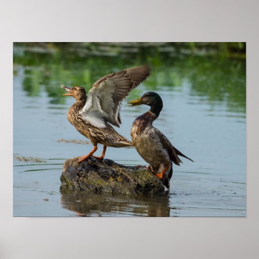 Poster Excusez-moi (Devant)