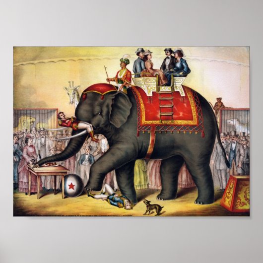Poster Exécution d'éléphant (Devant)