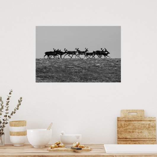 Poster Exécution d'un renne (Cuisine)