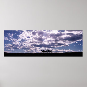 Poster Exécution gratuite 2