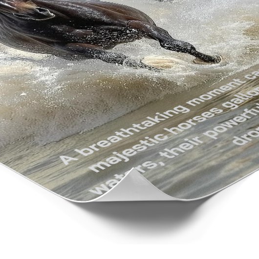 Poster Exécution libre (Coin)
