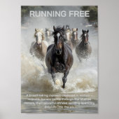 Poster Exécution libre (Devant)