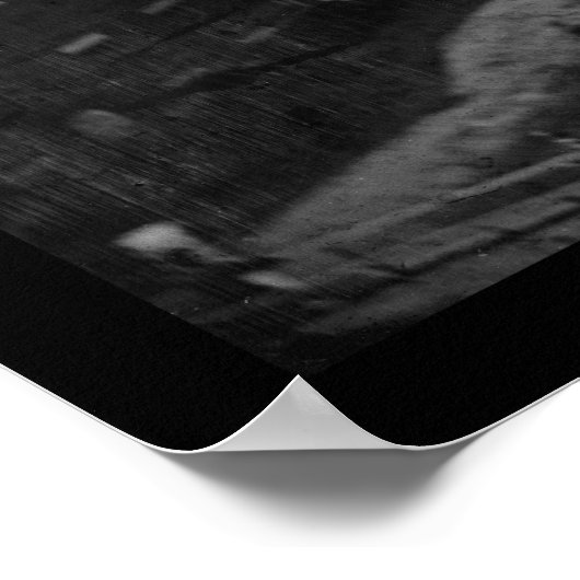 Poster Execution of the Lincoln Conspirators 1865 (Coin)