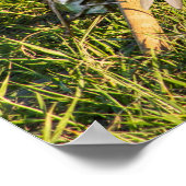 Poster Exemple d'image. (Coin)