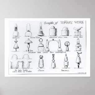 Poster Exemples de travaux opiaires, 1902 (gravure) (b/w/