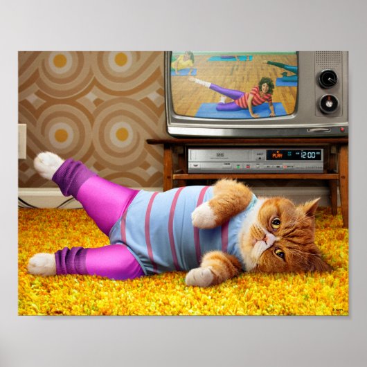 Poster Exercice Cat (Devant)
