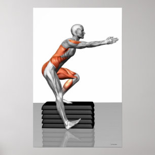 Poster Exercices dévolteurs