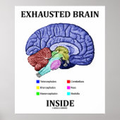 Poster Exhausted Brain Inside (Anatomical Brain Humor) (Devant)