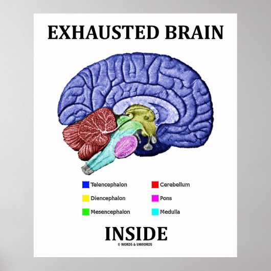 Poster Exhausted Brain Inside (Anatomical Brain Humor) (Devant)