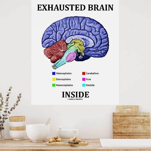 Poster Exhausted Brain Inside (Anatomical Brain Humor) (Cuisine)