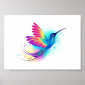 Poster Exotic Rainbow Hummingbird (Devant)