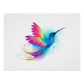 Poster Exotic Rainbow Hummingbird (Devant)