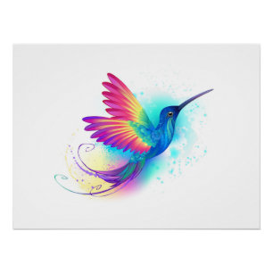 Poster Exotic Rainbow Hummingbird
