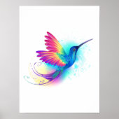 Poster Exotic Rainbow Hummingbird (Devant)