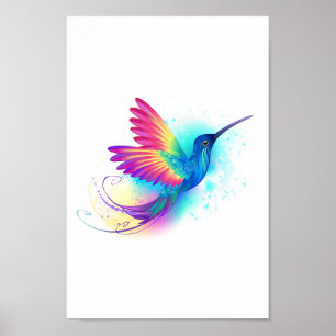 Poster Exotic Rainbow Hummingbird