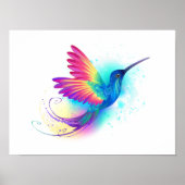 Poster Exotic Rainbow Hummingbird (Devant)