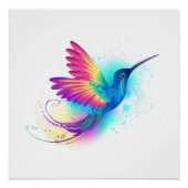 Poster Exotic Rainbow Hummingbird (Devant)