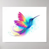 Poster Exotic Rainbow Hummingbird (Devant)
