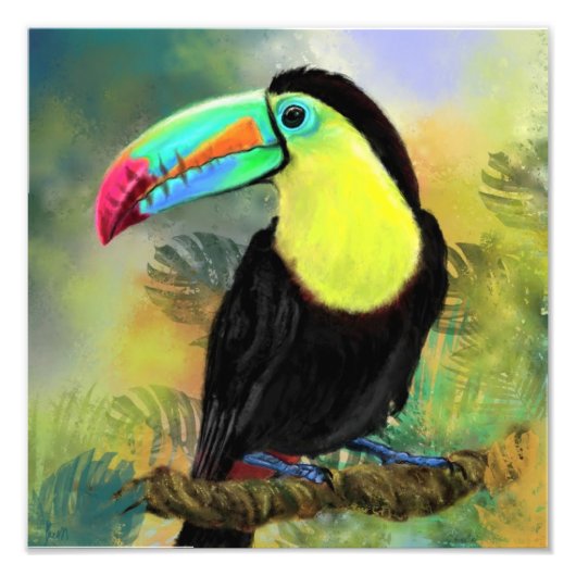 Poster Exotique Toco Toucan Oiseaux Imprimer - Pei (Devant)