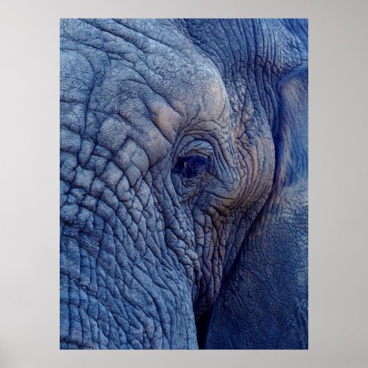 POSTER EXPÉRIENCE MARCHER AVEC LES ÉLÉPHANTS COMMENT ET H (Devant)