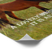 Poster expérimenter un cheval (Coin)