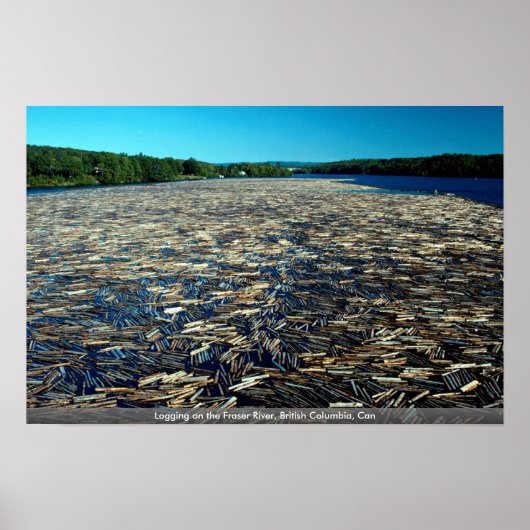 Poster Exploitation forestière sur le fleuve Fraser, Colo (Devant)