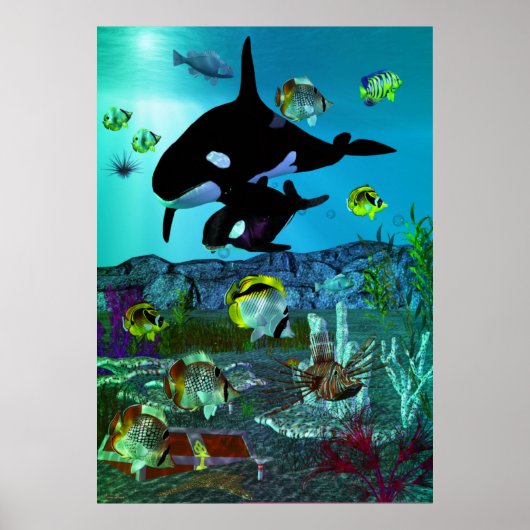 Poster Exploration 3D Aquarium ORCA (Devant)