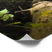 Poster Explore Dream Découvrez le Randonnée (Coin)