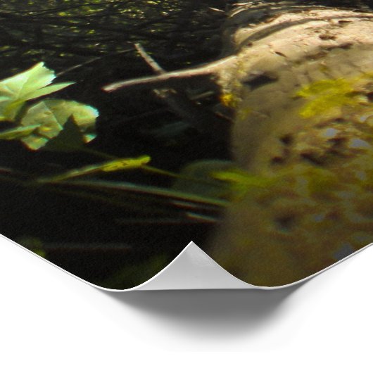 Poster Explore Dream Découvrez le Randonnée (Coin)