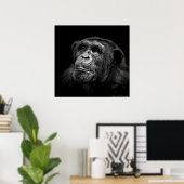 Poster "Exposition captive" Faune Chimp Portrait (Bureau à domicile)