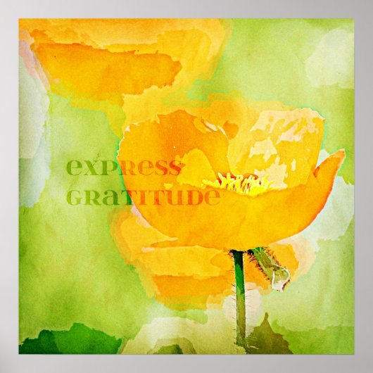 Poster Express Gratitude Orange Poppy (Devant)