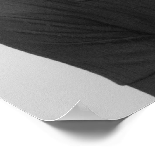 Poster Expression de Boy Facial (Coin)