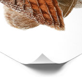 Poster Exquisite Watercolor Barn Owl Portrait (Coin)