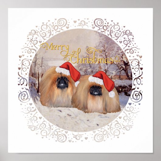 Poster Extérieur et A propos (Devant)