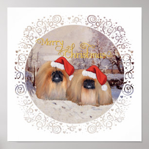 Poster Extérieur et A propos