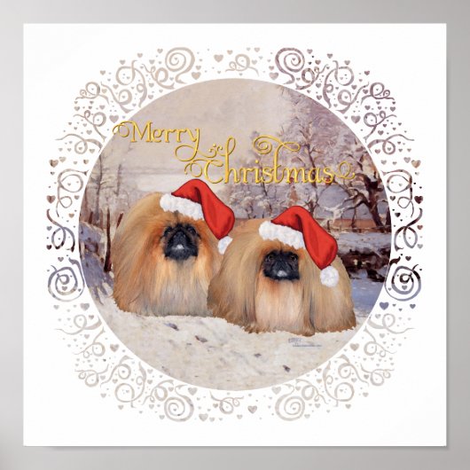 Poster Extérieur et A propos (Devant)