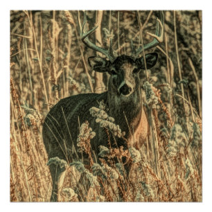 Poster extérieur sauvage Camouflage cerf blanc